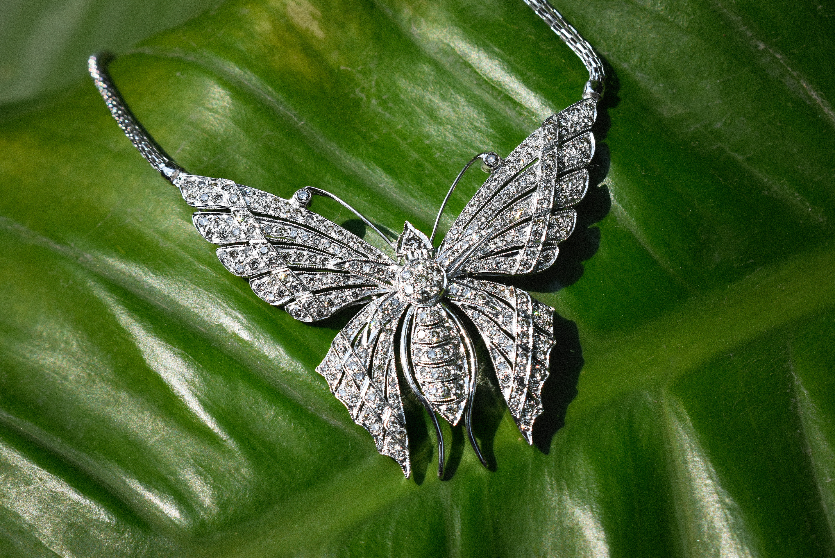 Diamond Butterfly